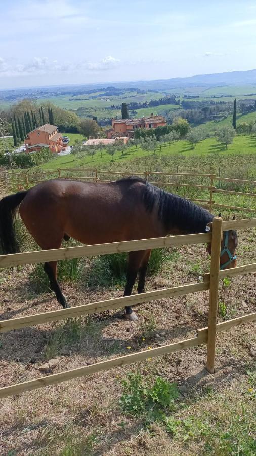 Regno Di Toscana Farm stay *