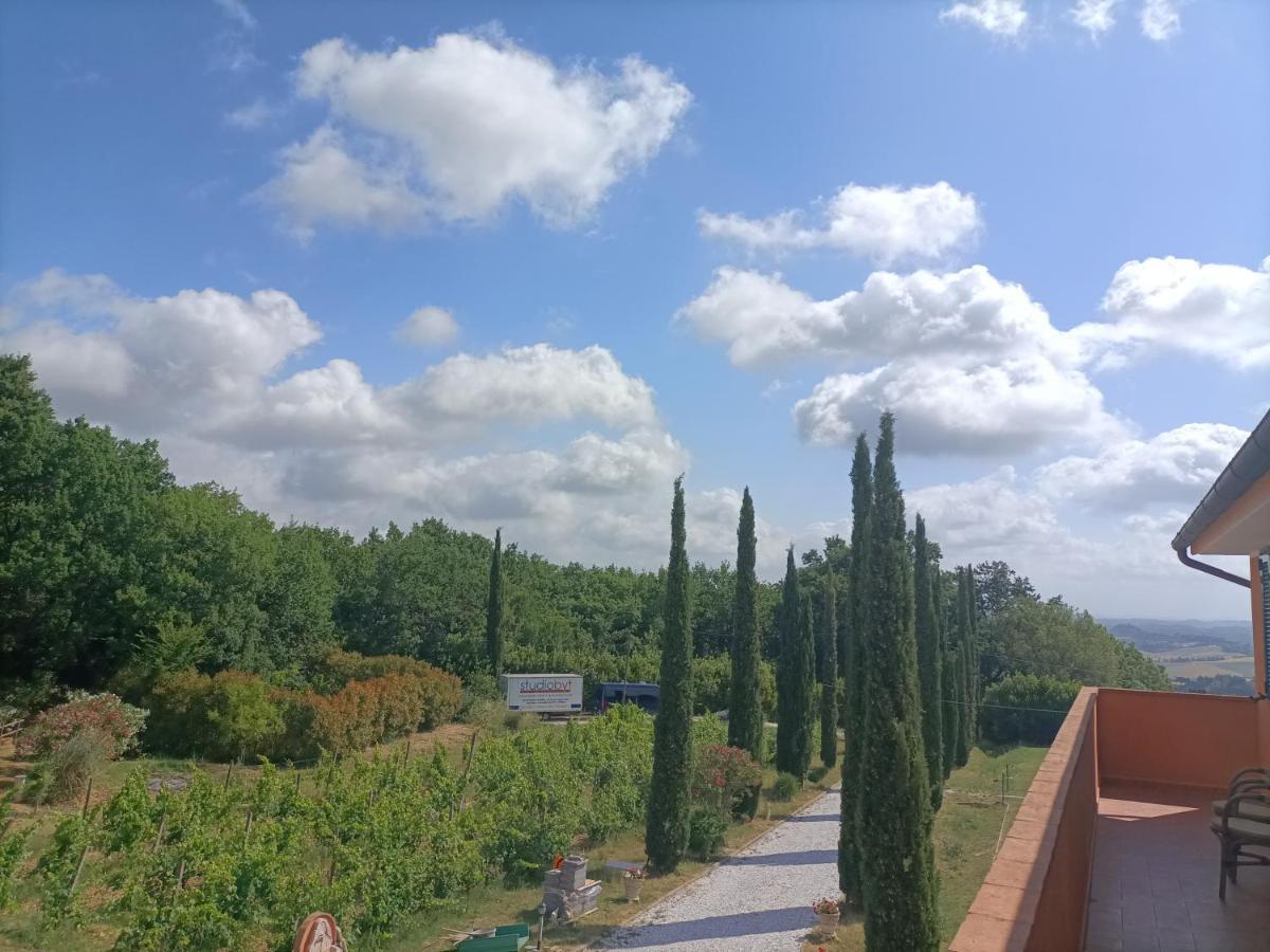Regno Di Toscana * Collesalvetti